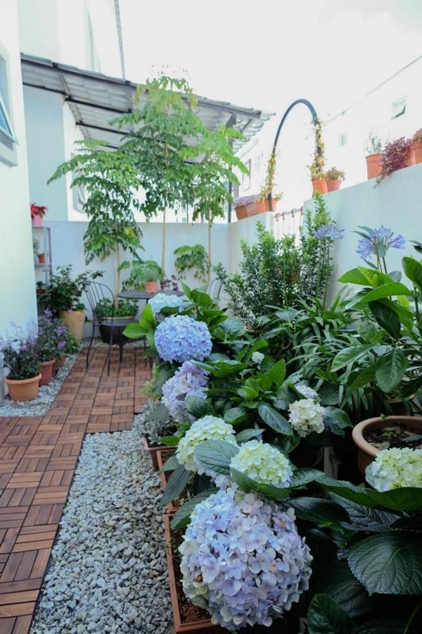 Comfy Sofy 21- Backyard Garden- Night Market Area Cameron Highlands Zewnętrze zdjęcie